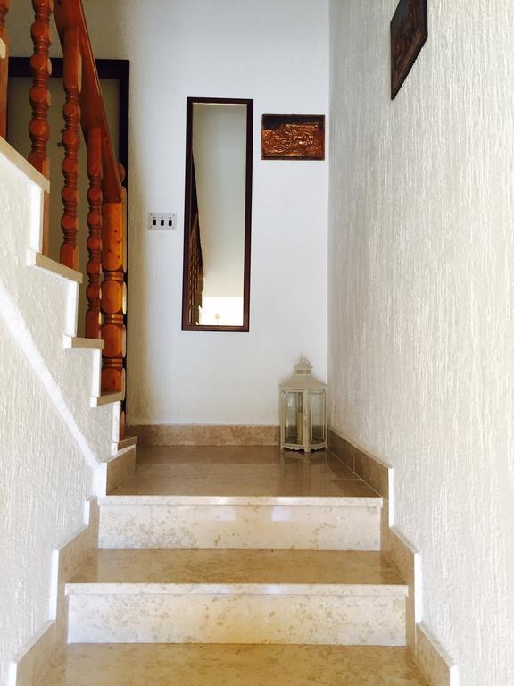 Guesthouse Tariba スペタルスカ・ドラガ エクステリア 写真