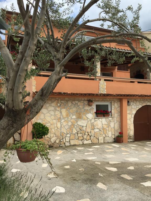 Guesthouse Tariba スペタルスカ・ドラガ エクステリア 写真
