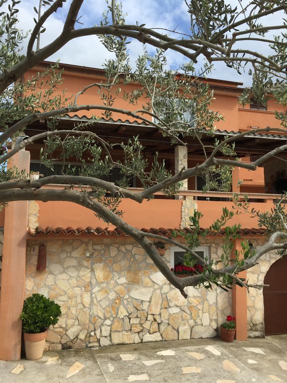 Guesthouse Tariba スペタルスカ・ドラガ エクステリア 写真