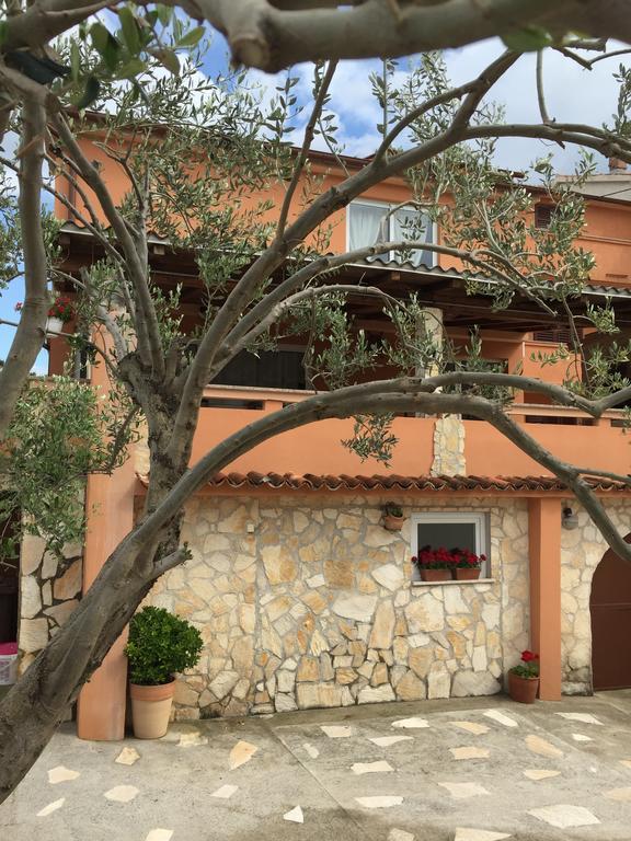 Guesthouse Tariba スペタルスカ・ドラガ エクステリア 写真